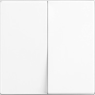 Двухклавишные